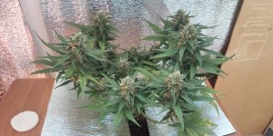 P50821-183800 (1).jpg