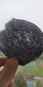 P50823-141852 (1).jpg