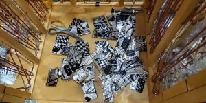 P50824-220825 (1).jpg