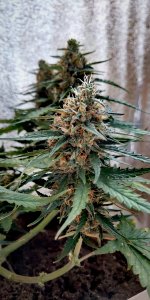 P50826-165859 (1)(1).jpg