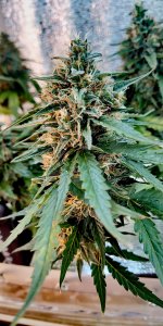 P50828-174718 (1)(1).jpg