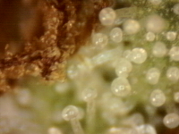 Photo_2025-08-31 07_52_18_482.png