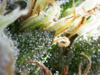 Photo_2025-09-02 17_33_26_092.JPG