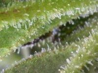 Photo_2025-09-02 17_38_48_835.JPG