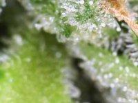 Photo_2025-09-02 17_40_40_764.JPG