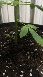 photo_2025-09-03 23.00.01.jpeg