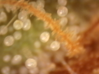 Photo_2025-09-05 06_33_35_713.png