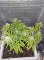 yRgCQxc9Hx2gmXyK82X124qbb_SQ3X_n1qJ_8gW8ABBjuYRhMlBvr6ntNAf5_0kpJ7eAWv46HIoZS1E65X9pXZtr.jpg yRgCQxc9Hx2gmXyK82X124qbb_SQ3X_n1qJ_8gW8ABBjuYRhMlBvr6ntNAf5_0kpJ7eAWv46HIoZS1E65X9pXZtr.jpg