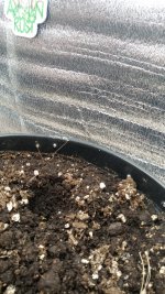 WhatsApp Image 2025-09-09 at 19.09.56 (2).jpeg