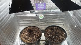 WhatsApp Image 2025-09-09 at 19.09.55 (1).jpeg