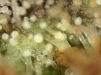 Photo_2025-09-10 06_36_56_486.png