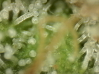 Photo_2025-09-10 06_38_13_152.png