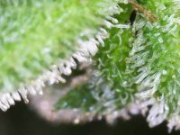 Photo_2025-09-10 18_29_41_072.JPG