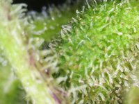 Photo_2025-09-10 19_21_08_729.JPG