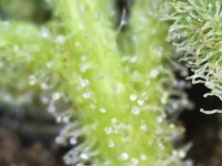 Photo_2025-09-10 19_30_27_323.JPG