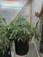 Изображение WhatsApp 2025-09-11 в 21.14.55_bb499fb9.jpg