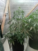 Изображение WhatsApp 2025-09-11 в 21.14.56_c0700723.jpg