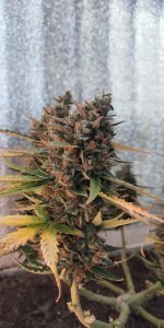 P50911-182855 (1).jpg