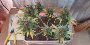 P50911-182829 (1).jpg