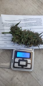 P50913-081807 (1).jpg