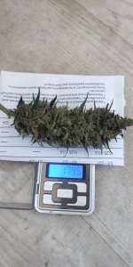 P50913-083545 (1).jpg