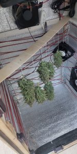 P50913-084953 (1).jpg