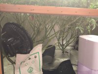 WhatsApp Image 2025-09-22 at 14.50.23 (1).jpeg