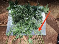 WhatsApp Image 2025-09-22 at 14.50.23.jpeg WhatsApp Image 2025-09-22 at 14.50.23.jpeg