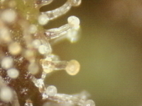 .trashed-1761189912-Photo_2025-09-20 17_15_38_739.png