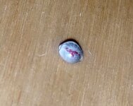 P50922-230130 (1)(1)(1).jpg