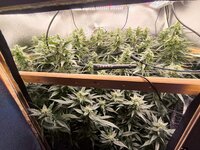 WhatsApp Image 2025-09-25 at 21.53.04.jpeg