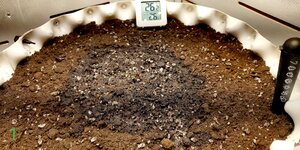 P50927-110558 (1)(1)(1).jpg