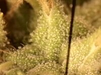 WhatsApp Image 2025-09-27 at 18.00.43 (2).jpeg