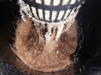 WhatsApp Image 2025-10-04 at 22.54.46 (2).jpeg