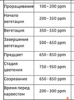 ппм по стадиям.jpg