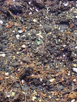 20220512_203458 (1).jpg