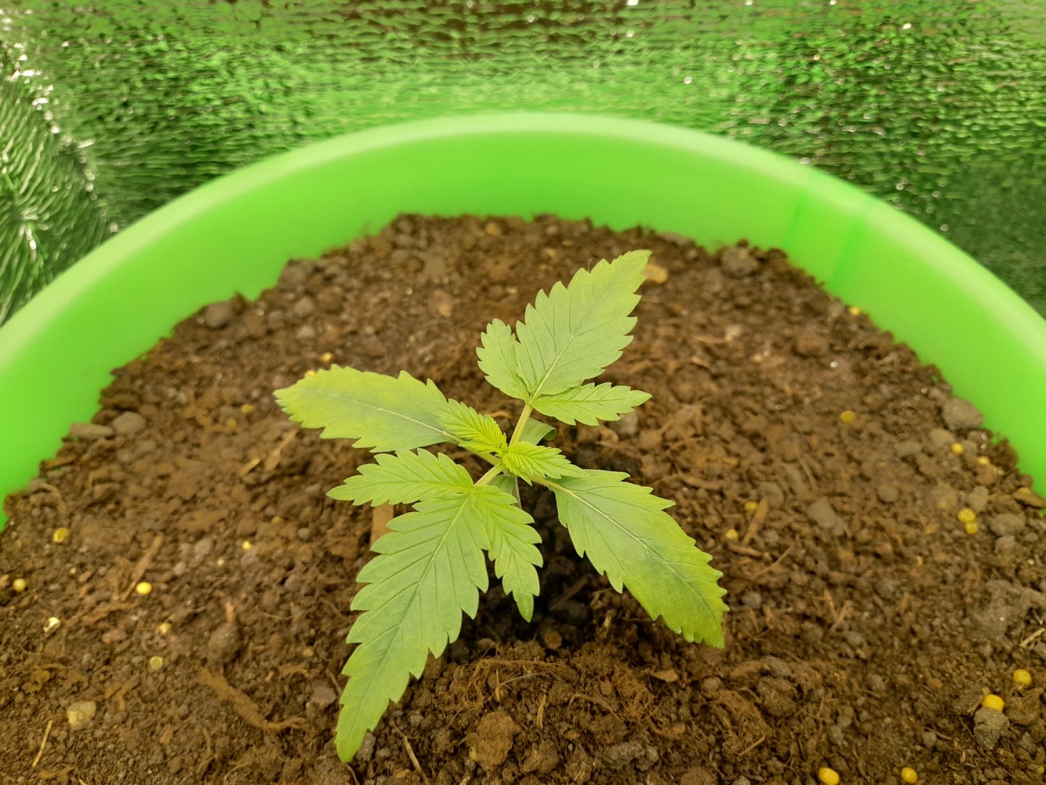 20220520_120837-min (1).jpg