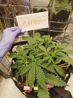 27.10-21 день.jpg