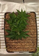 IMG_20251101_093100_208 (1).jpg