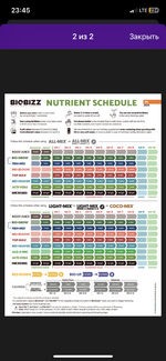 биобиз дозировка.png