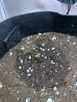 IMG_1895.jpeg IMG_1895.jpeg