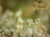 Photo_2025-09-10 06_44_53_928.png