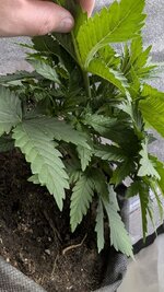 photo_2025-12-20_20-22-08 (2).jpg