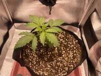 IMG_1986.jpeg IMG_1986.jpeg