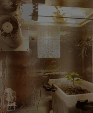 Скриншот 26-05-2022 123807.jpg