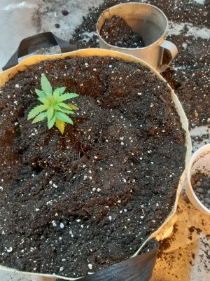 20220531_102158.jpg 20220531_102158.jpg