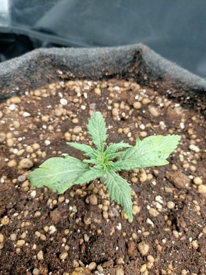 WhatsApp Image 2022-05-31 at 07.58.53.jpeg