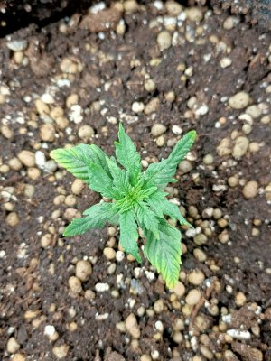 WhatsApp Image 2022-05-31 at 08.02.03.jpeg