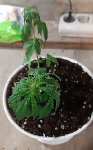 20220601_111120.jpg 20220601_111120.jpg