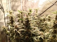 photo_2026-01-09_18-06-13 (2).jpg